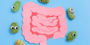 Probiotique flore intestinale maigrir : Quels aliments choisir pour accélérer la perde de poids ?